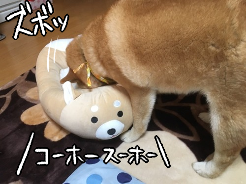 dfq47t3q