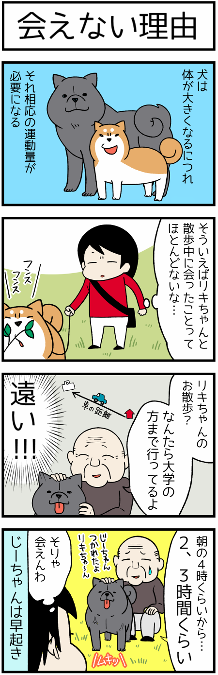 20170707リキちゃんにあえない理由1