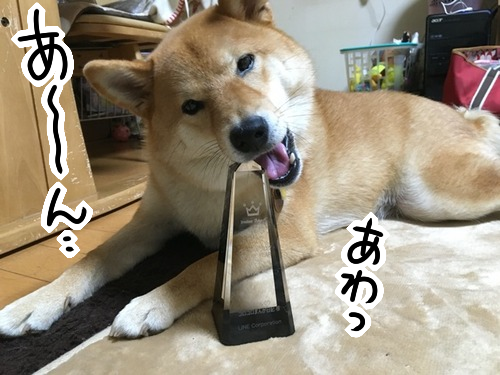 tuzux3fn