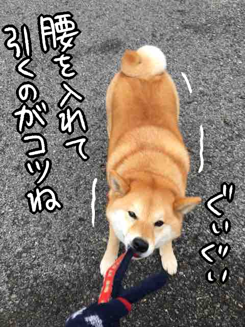 sj7hom0p