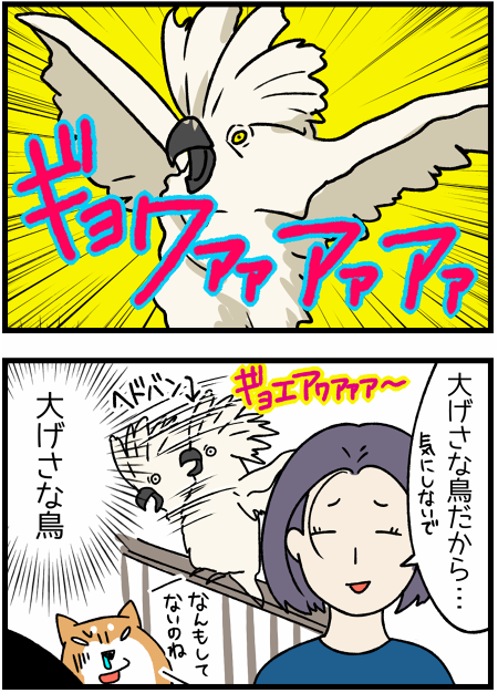 20170618オウム22