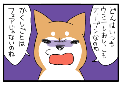 5.png