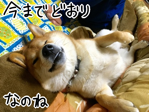 jbghnzth