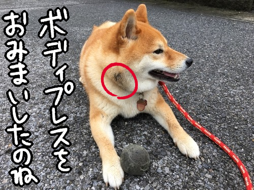 dl9gl0wx