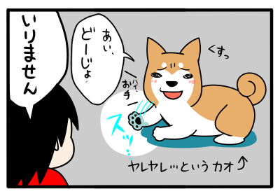 11.png
