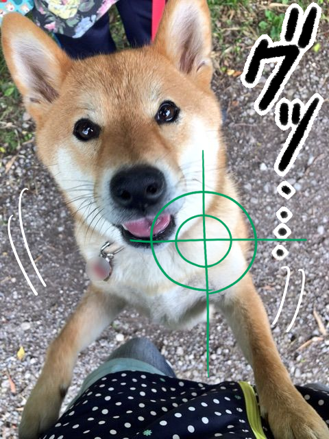 4eq5fr6t
