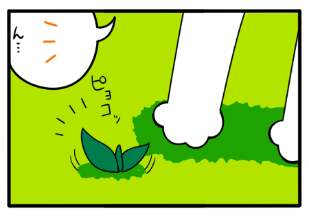 111.png