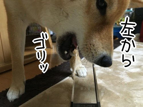 3ufn67yw
