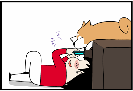 ↓から