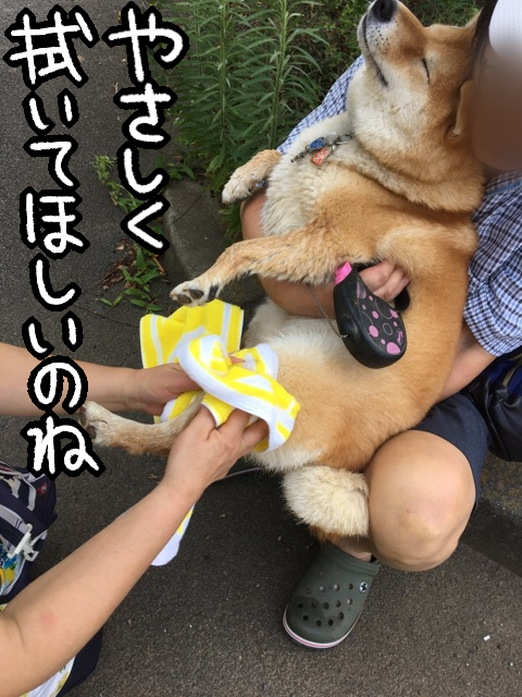 w6wtdak9