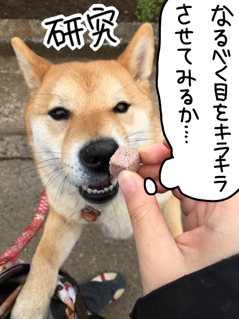 jz0iy9tr
