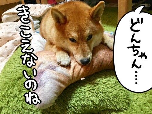 3sk08dpe