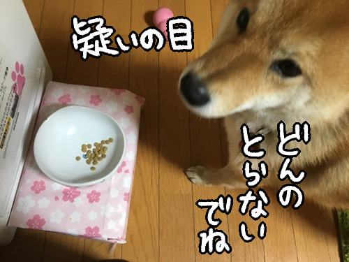 bk0twwo5