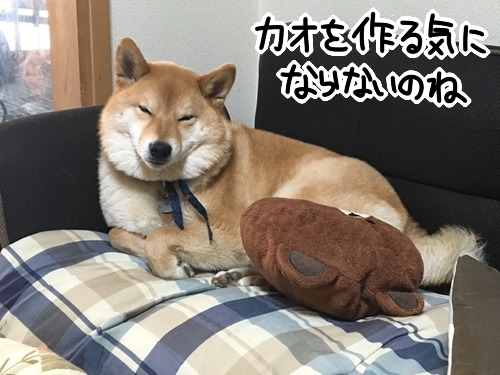 jfdxnizc