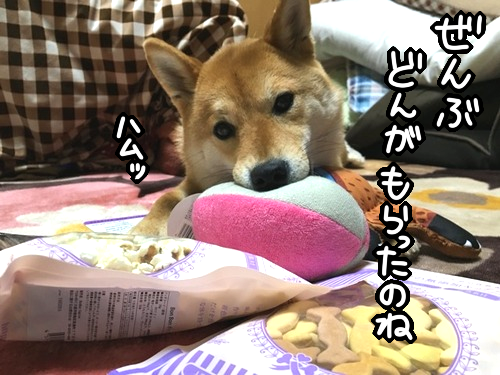 38b03qd7
