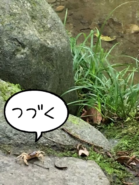 pw8s9fgh
