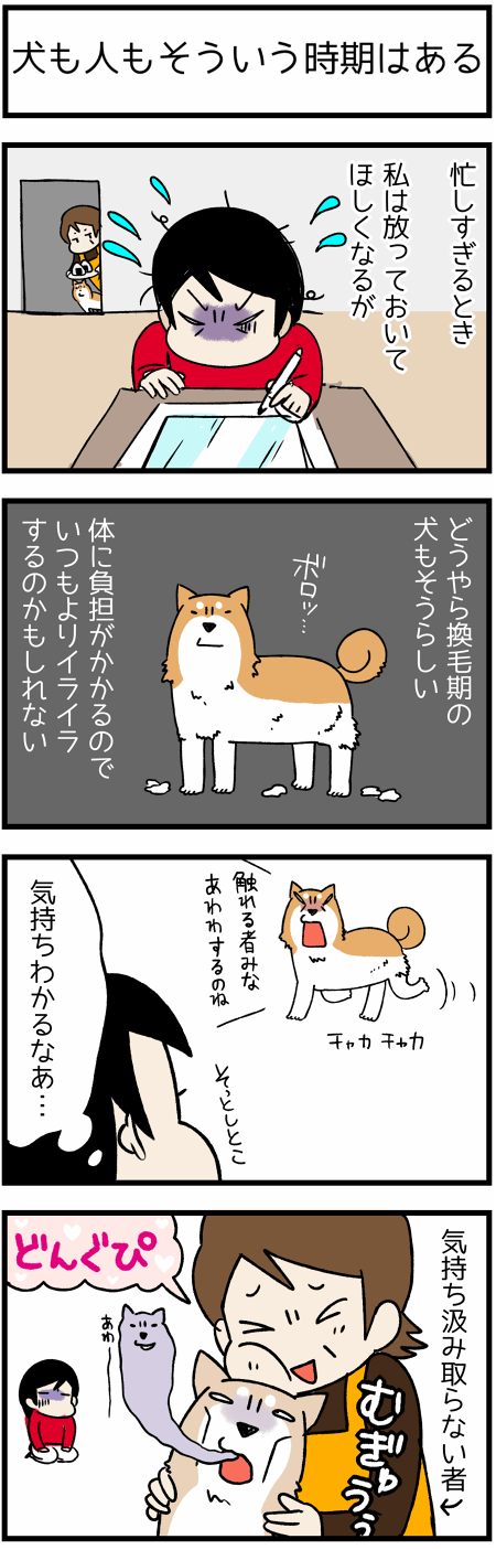 20171020そういう時期1