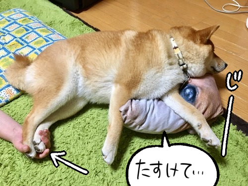 qdwxdh6k