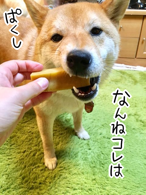 6kvaqvpz