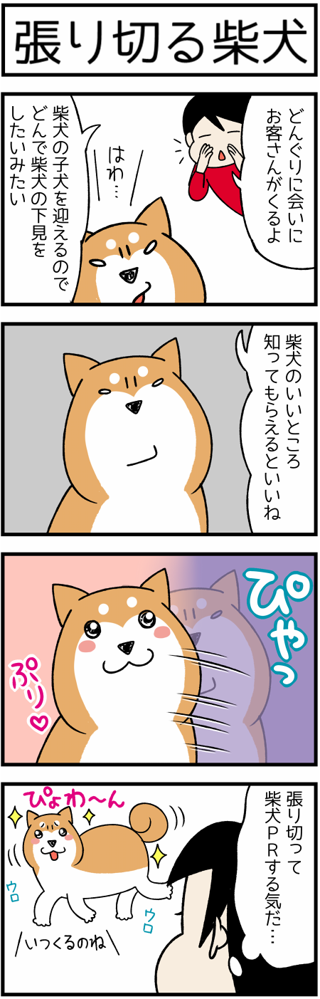 20180312張り切る1