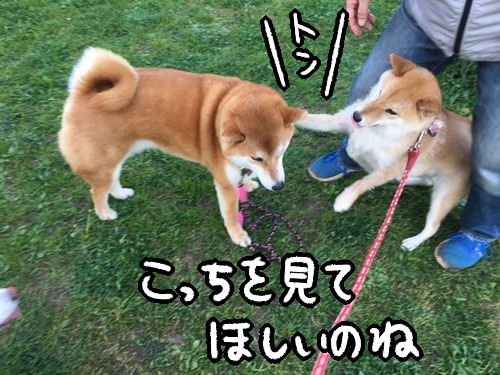 ieixp497