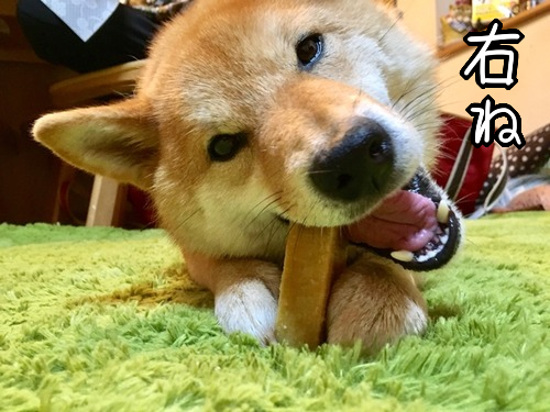kkgmlgsx