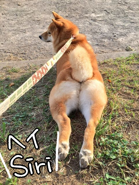 m0lfwuyg