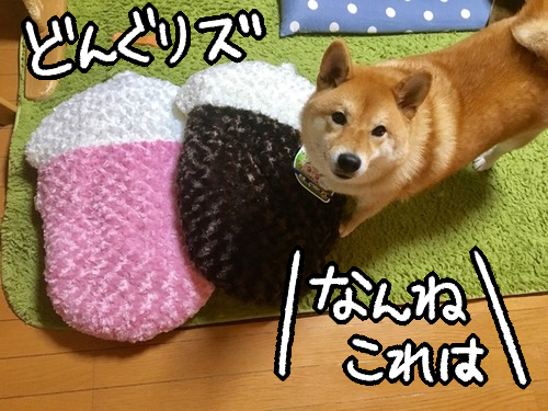 ypi2wzc9
