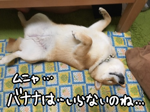 kotzh8n0