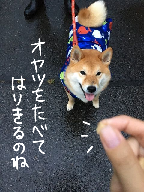 9fvaafhr
