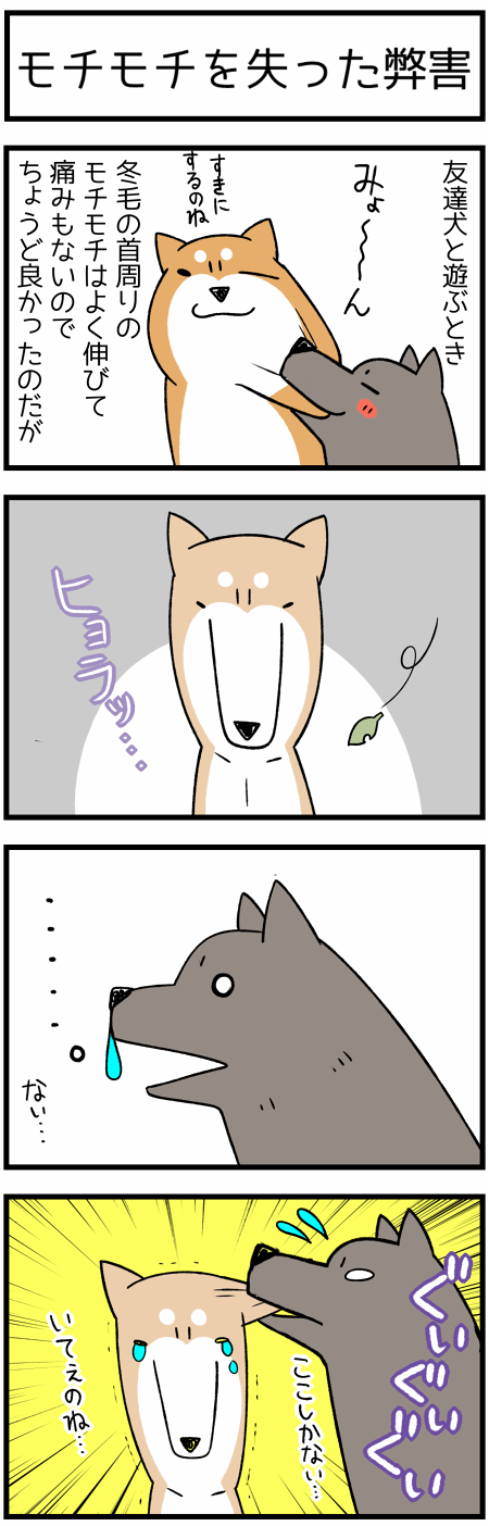 20180413犬達の迷い1