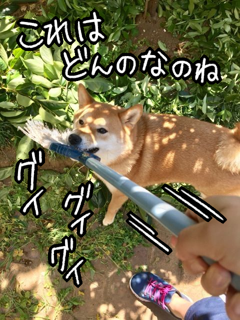 7xpaacmg