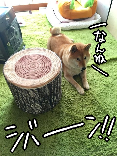kw54gqym