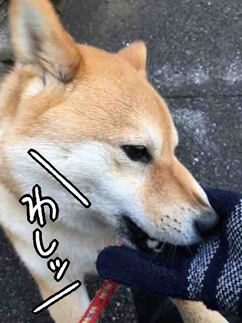 72qvx6ar