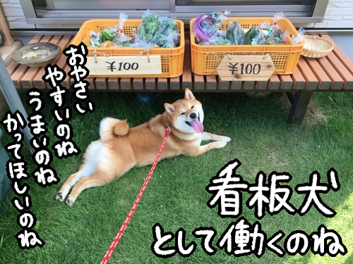 nttxrydt