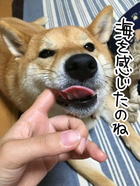 kdbiu4ek