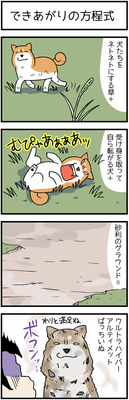 20180908方程式mini