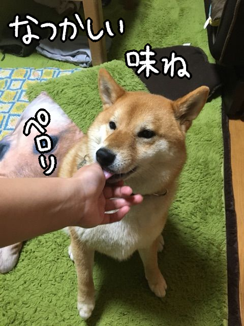 s1fakj1z