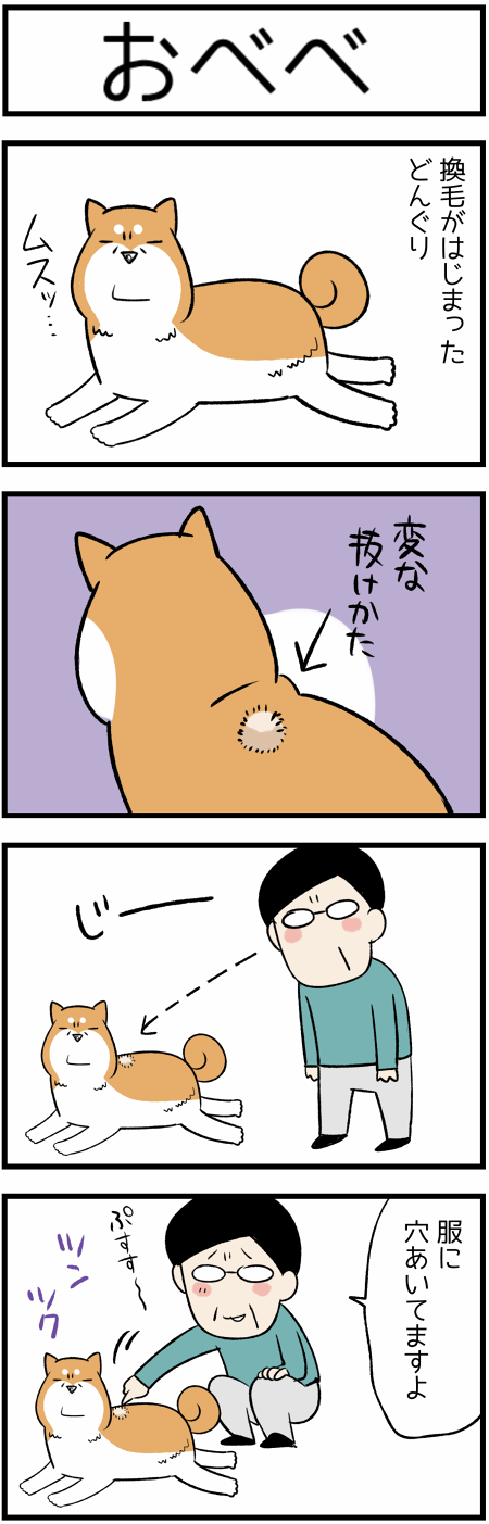 20190326おべべ1