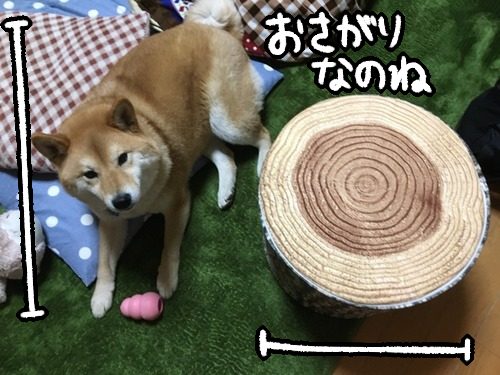 0pxtyyuw
