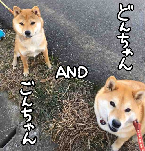 frgk0nd5