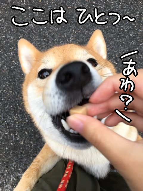 ofyudfmu