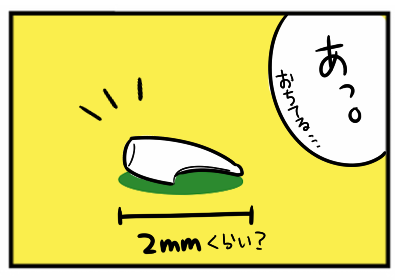 乳歯4.png