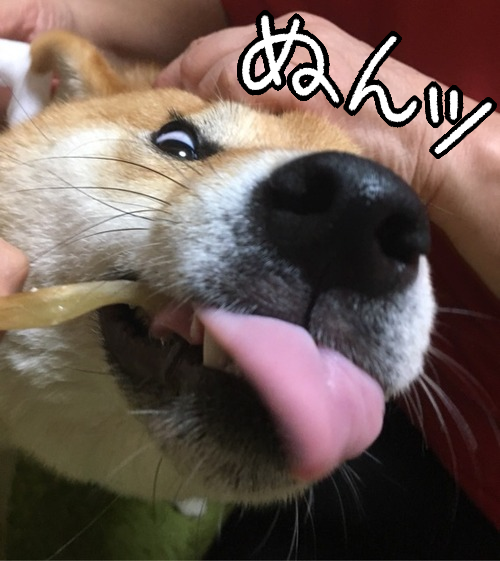 dy0zxbmh