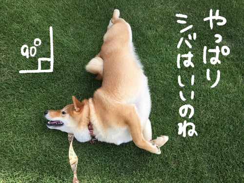 nkkgnxkt