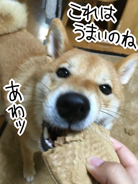 m9rplvv9
