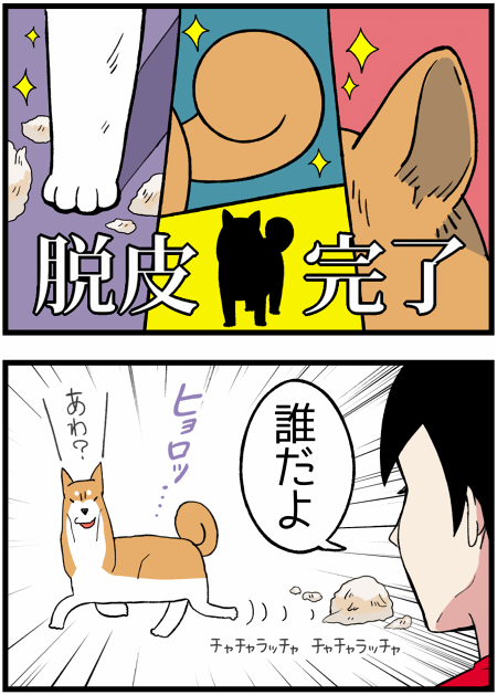 20170516脱皮2