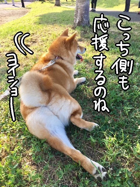 5gjo0bcp