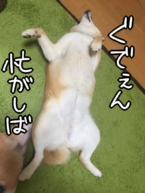 evrekunc