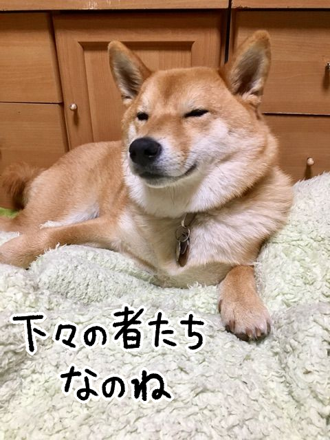 0yp5ro80
